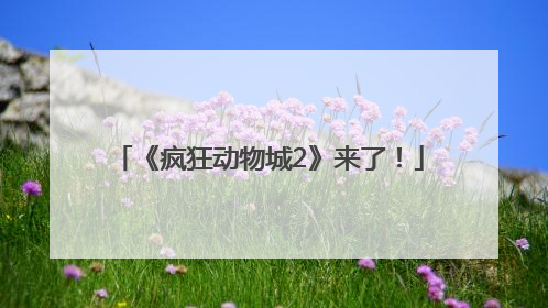 《疯狂动物城2》来了！