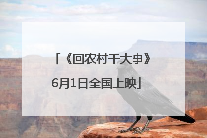《回农村干大事》6月1日全国上映