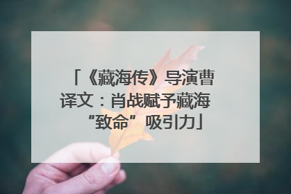 《藏海传》导演曹译文：肖战赋予藏海“致命”吸引力
