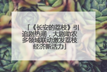 《长安的荔枝》引追剧热潮，大剧助农多领域联动激发荔枝经济新活力