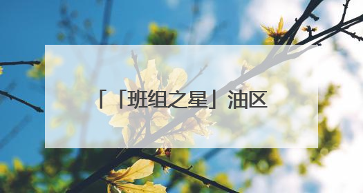 「班组之星」油区安全的“定盘星”