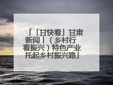 「甘快看」甘肃新闻丨（乡村行 看振兴）特色产业托起乡村振兴路