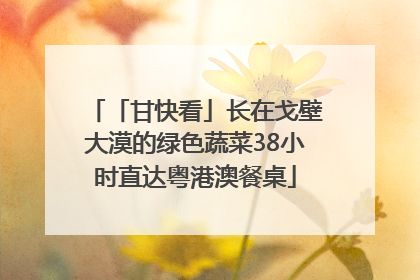 「甘快看」长在戈壁大漠的绿色蔬菜38小时直达粤港澳餐桌