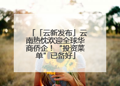 「云新发布」云南热忱欢迎全球华商侨企！“投资菜单”已备好