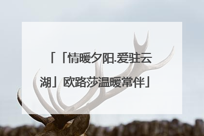 「情暖夕阳.爱驻云湖」欧路莎温暖常伴