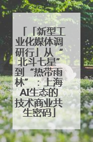 「新型工业化媒体调研行」从“北斗七星”到“热带雨林”：上海AI生态的技术商业共生密码