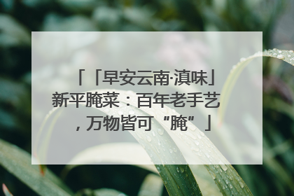 「早安云南·滇味」新平腌菜：百年老手艺，万物皆可“腌”