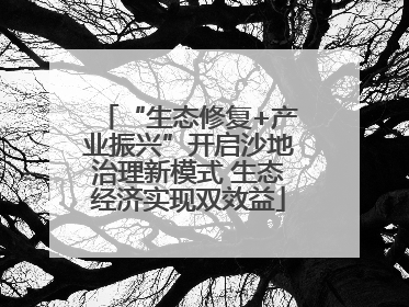 “生态修复+产业振兴”开启沙地治理新模式 生态经济实现双效益