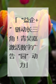 “益企+”链动长三角！青吴嘉激活数字广告“园”动力