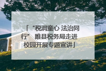 “税润童心 法治同行” 睢县税务局走进校园开展专题宣讲