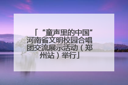 “童声里的中国”河南省文明校园合唱团交流展示活动（郑州站）举行