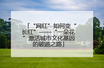“网红”如何变“长红”——“一朵花”激活城市文化基因的破题之路