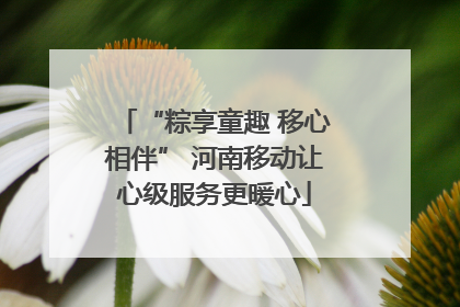 “粽享童趣 移心相伴” 河南移动让心级服务更暖心