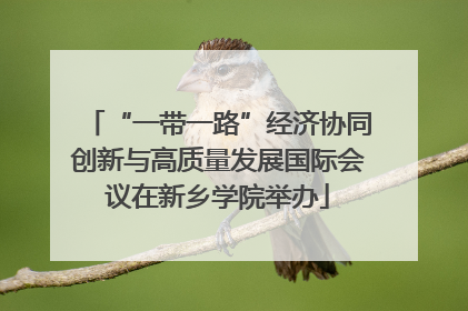 “一带一路”经济协同创新与高质量发展国际会议在新乡学院举办