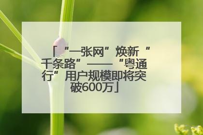 “一张网”焕新“千条路”——“粤通行”用户规模即将突破600万