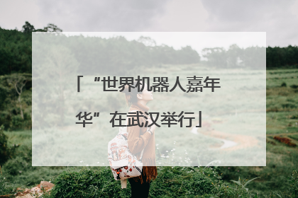 “世界机器人嘉年华”在武汉举行