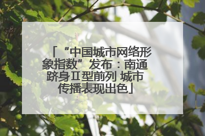 “中国城市网络形象指数”发布：南通跻身Ⅱ型前列 城市传播表现出色