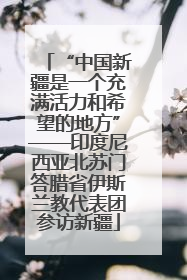 “中国新疆是一个充满活力和希望的地方”——印度尼西亚北苏门答腊省伊斯兰教代表团参访新疆