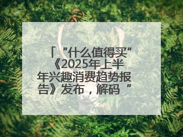 “什么值得买”《2025年上半年兴趣消费趋势报告》发布，解码“心价比”时代兴趣消费新范式
