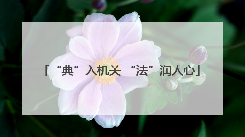 “典”入机关 “法”润人心