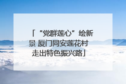 “党群莲心”绘新景 厦门同安莲花村走出特色振兴路