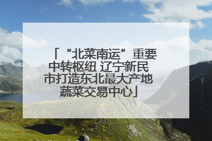 “北菜南运”重要中转枢纽 辽宁新民市打造东北最大产地蔬菜交易中心