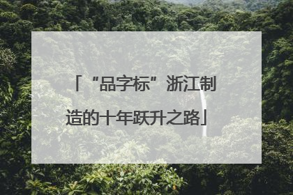 “品字标”浙江制造的十年跃升之路