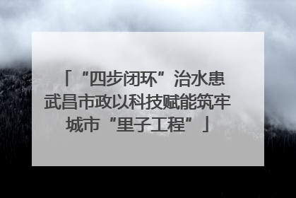 “四步闭环”治水患 武昌市政以科技赋能筑牢城市“里子工程”