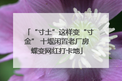 “寸土”这样变“寸金” 十堰闲置老厂房蝶变网红打卡地