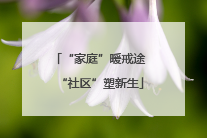 “家庭”暖戒途 “社区”塑新生
