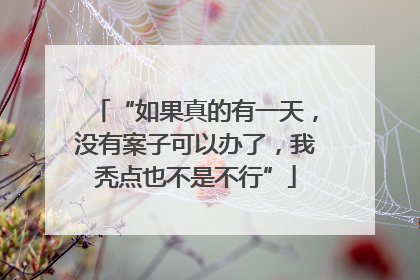 “如果真的有一天，没有案子可以办了，我秃点也不是不行”