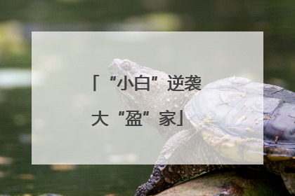 “小白”逆袭大“盈”家