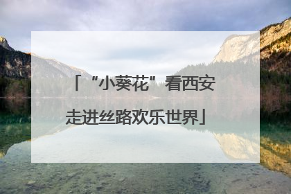 “小葵花”看西安走进丝路欢乐世界