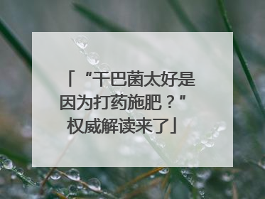 “干巴菌太好是因为打药施肥？”权威解读来了