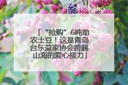 “抢购”6吨助农土豆！这是青岛台东益家协会跨越山海的爱心接力