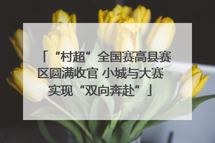“村超”全国赛高县赛区圆满收官 小城与大赛实现“双向奔赴”