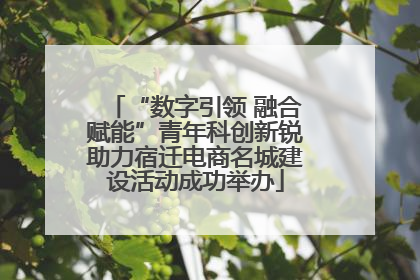 “数字引领 融合赋能”青年科创新锐助力宿迁电商名城建设活动成功举办