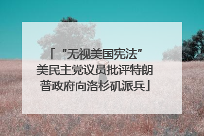 “无视美国宪法” 美民主党议员批评特朗普政府向洛杉矶派兵