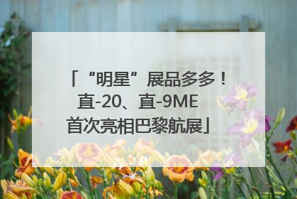 “明星”展品多多！直-20、直-9ME首次亮相巴黎航展