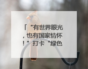 “有世界眼光，也有国家情怀！”打卡“绿色硅谷”，博主新解乐山｜网络名人四川行