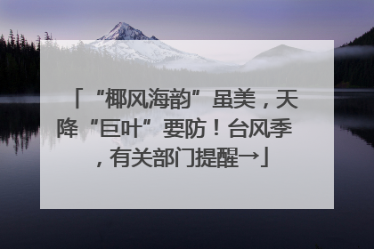 “椰风海韵”虽美，天降“巨叶”要防！台风季，有关部门提醒→