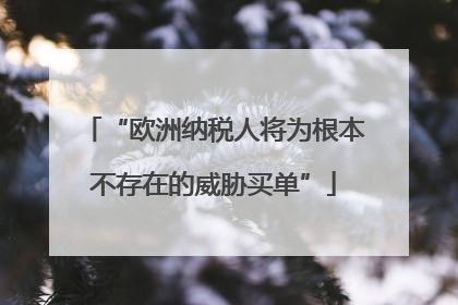 “欧洲纳税人将为根本不存在的威胁买单”