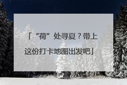 “荷”处寻夏？带上这份打卡地图出发吧