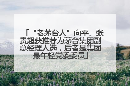 “老茅台人”向平、张贵超获推荐为茅台集团副总经理人选，后者是集团最年轻党委委员