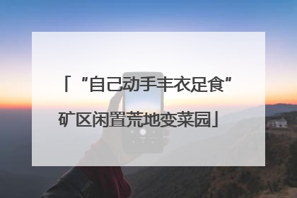 “自己动手丰衣足食”矿区闲置荒地变菜园