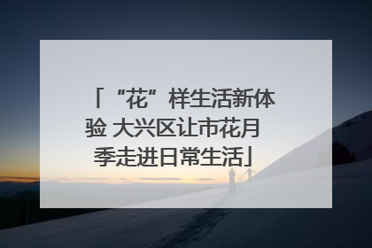 “花”样生活新体验 大兴区让市花月季走进日常生活