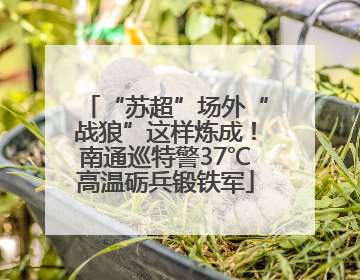 “苏超”场外“战狼”这样炼成！南通巡特警37℃高温砺兵锻铁军