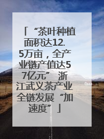“茶叶种植面积达12.5万亩，全产业链产值达57亿元” 浙江武义茶产业全链发展“加速度”