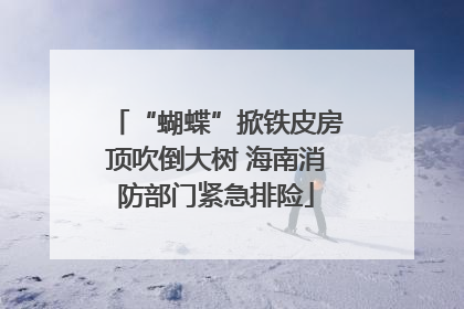 “蝴蝶”掀铁皮房顶吹倒大树 海南消防部门紧急排险