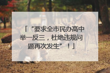 “要求全市民办高中举一反三，杜绝违规问题再次发生”！